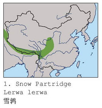雪鹑的地理分布图