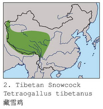 藏雪鸡的地理分布图