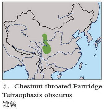 雉鹑的地理分布图