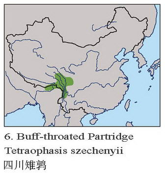 四川雉鹑的地理分布图