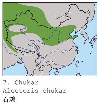 石鸡的地理分布图