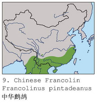 中华鹧鸪的地理分布图