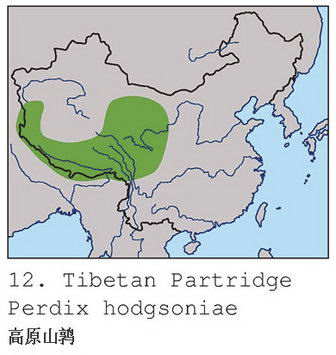 高原山鹑的地理分布图