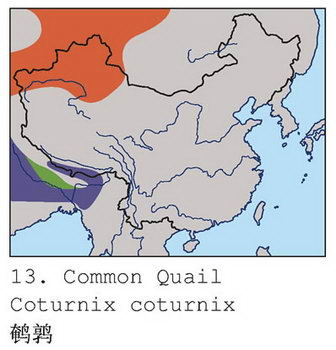 鹌鹑的地理分布图