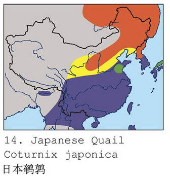 日本鹌鹑的地理分布图