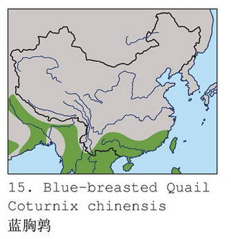 蓝胸鹑的地理分布图