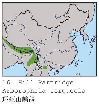 环颈山鹧鸪的地理分布图