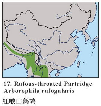 红喉山鹧鸪的地理分布图