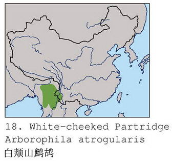 白颊山鹧鸪的地理分布图