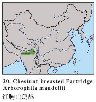 红胸山鹧鸪的地理分布图