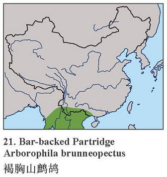 褐胸山鹧鸪的地理分布图