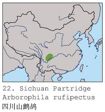 四川山鹧鸪的地理分布图