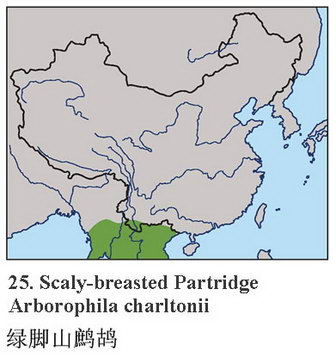 绿脚山鹧鸪的地理分布图