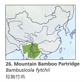 棕胸竹鸡的地理分布图