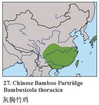 灰胸竹鸡的地理分布图