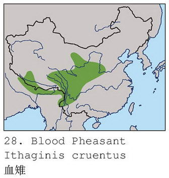 血雉的地理分布图