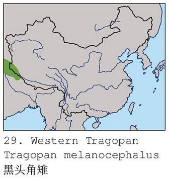 黑头角雉的地理分布图