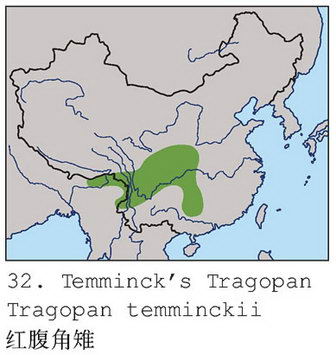 红腹角雉的地理分布图