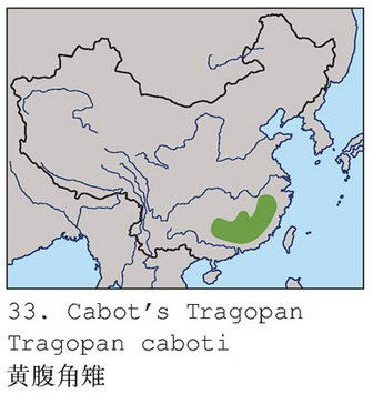 黄腹角雉的地理分布图