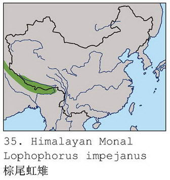 棕尾虹雉的地理分布图