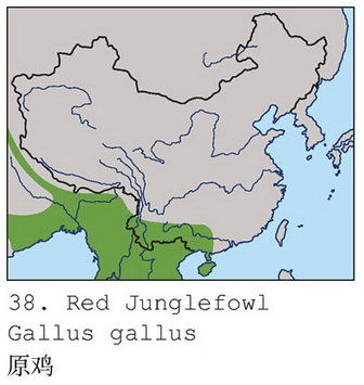 原鸡的地理分布图