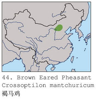 褐马鸡的地理分布图