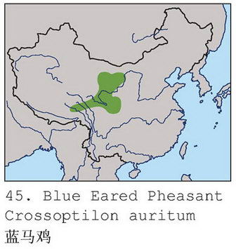 蓝马鸡的地理分布图