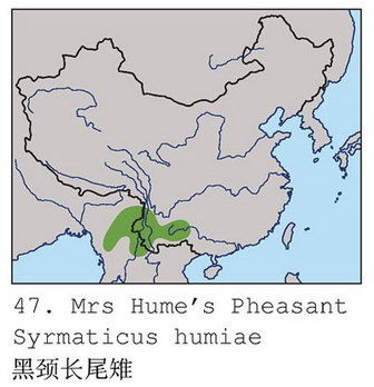 黑颈长尾雉的地理分布图