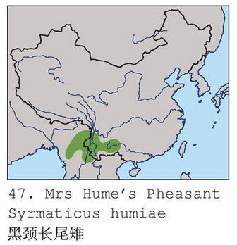 黑颈长尾雉的地理分布图