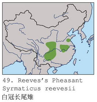 白冠长尾雉的地理分布图