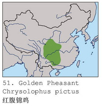 红腹锦鸡的地理分布图