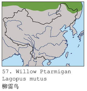 柳雷鸟的地理分布图