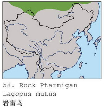 岩雷鸟的地理分布图