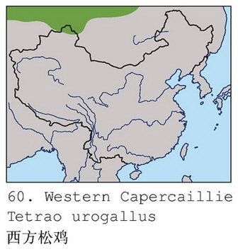 西方松鸡的地理分布图