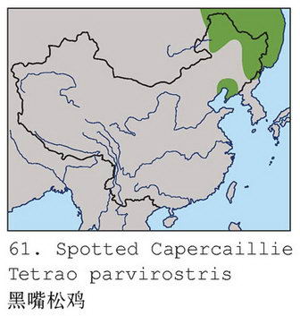 黑嘴松鸡的地理分布图