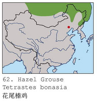 花尾榛鸡的地理分布图
