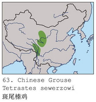 斑尾榛鸡的地理分布图