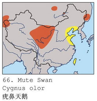 疣鼻天鹅的地理分布图