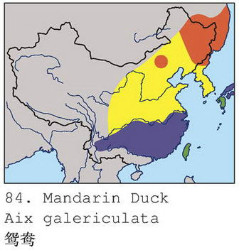 鸳鸯的地理分布图