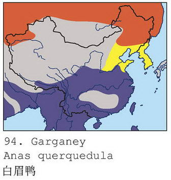 白眉鸭的地理分布图