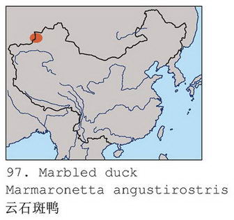 云石斑鸭的地理分布图