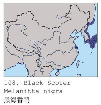 黑海番鸭的地理分布图