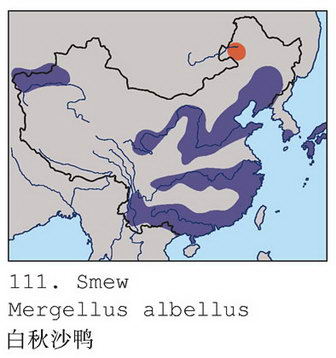 白秋沙鸭的地理分布图