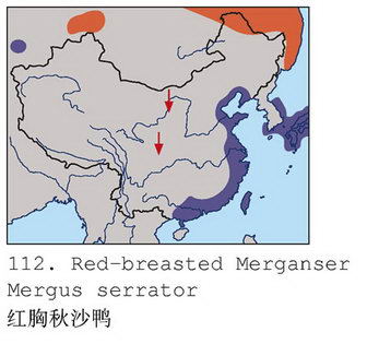 红胸秋沙鸭的地理分布图
