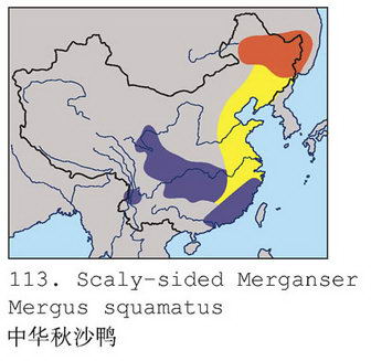 中华秋沙鸭的地理分布图