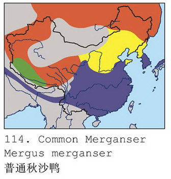 普通秋沙鸭的地理分布图