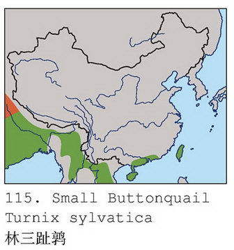 林三趾鹑的地理分布图