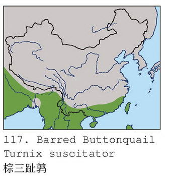 棕三趾鹑的地理分布图