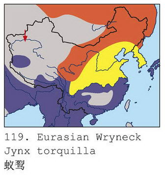 蚁鴷的地理分布图