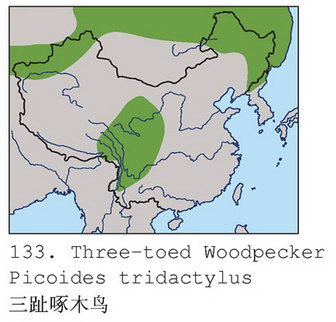 三趾啄木鸟的地理分布图